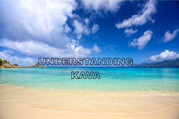 Understanding Kava: Initial Sensation, Secondary Effects, and More