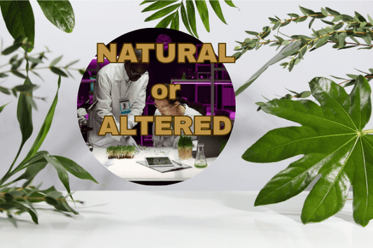 Why Natural Powdered Kava Is Superior to Extracts