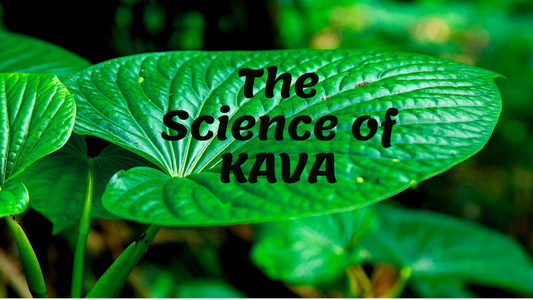 What are Kava Chemotypes?